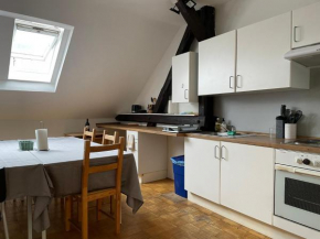 Roseman III - Centraly located, old spacious apartment